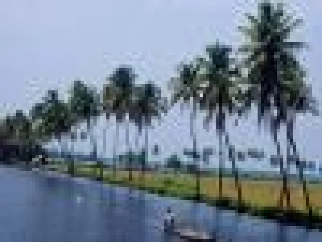 Backwaters in Kerala © Kerala Tourism Authority.
