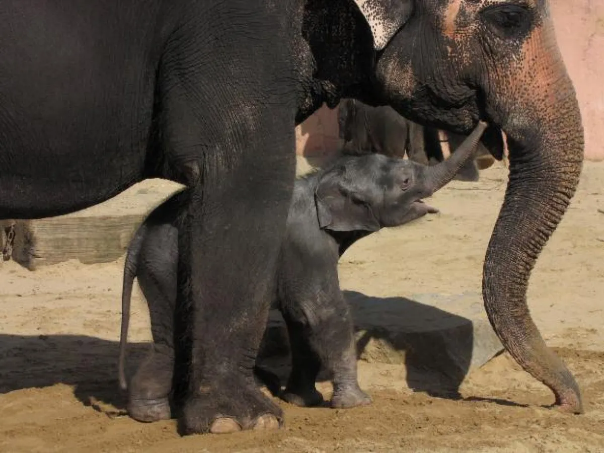 Baby und Mutter Khaing Hnin Hnin Foto: M.Laws