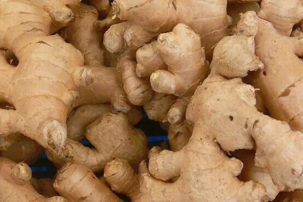 Bild: Ingwer - Die Wunderknolle – scharf und gesund