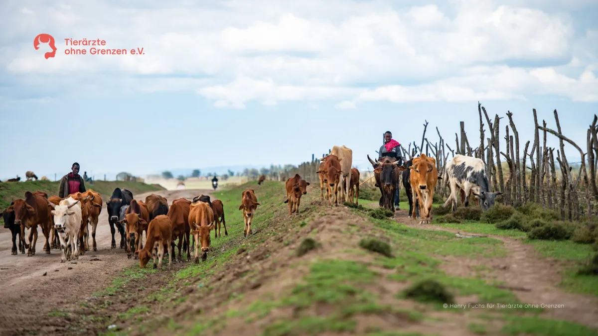 Im UN-Jahr 2026 werden nomadische Hirtengemeinschaften in den Fokus der Aufmerksamkeit gerückt. (© Henry Fuchs)