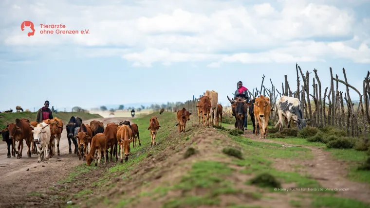 Bild: Wanderhirten ins Zentrum der Aufmerksamkeit rücken