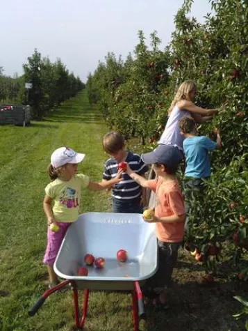 Bild: „Drehen, nicht ziehen“