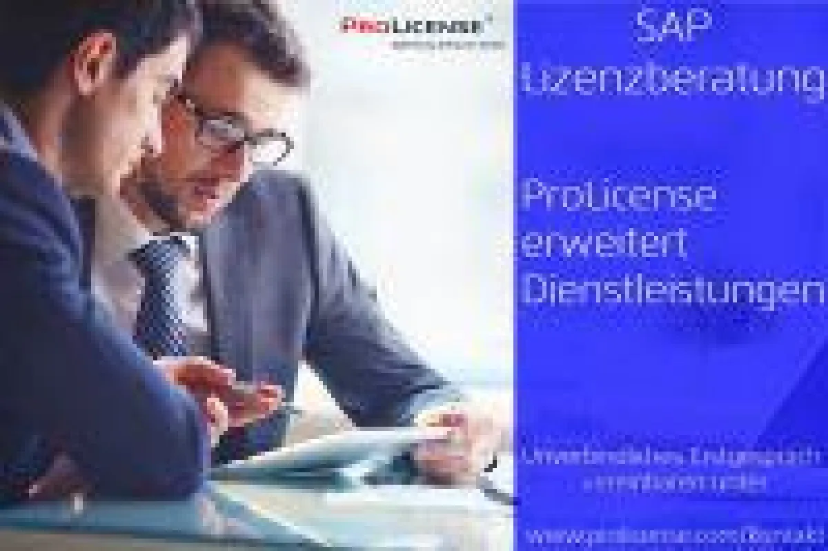 SAP Lizenzberatung - SAP Lizenzvermessung - SAP Audit - SAP Wartungskosten SAP Lizenzmanagement