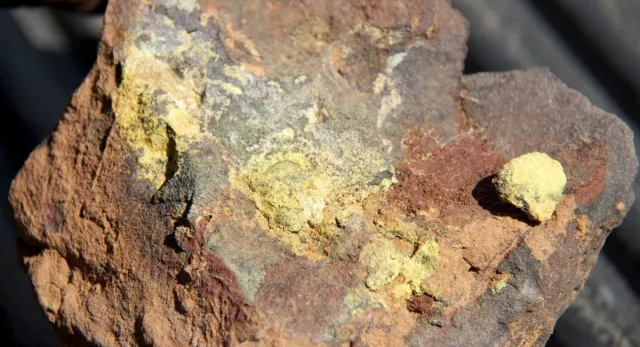 Searchlight bestätigt starke Oberflächenradioaktivität auf Uranziel South Kulyk Lake Bild: Searchlight bestätigt starke Oberflächenradioaktivität auf Uranziel South Kulyk Lake