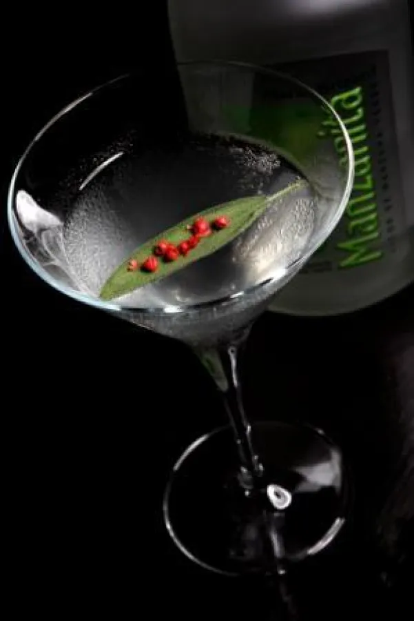 Der Wonderful Summertime Martini - die exklusive Empfehlung für den Sommer.