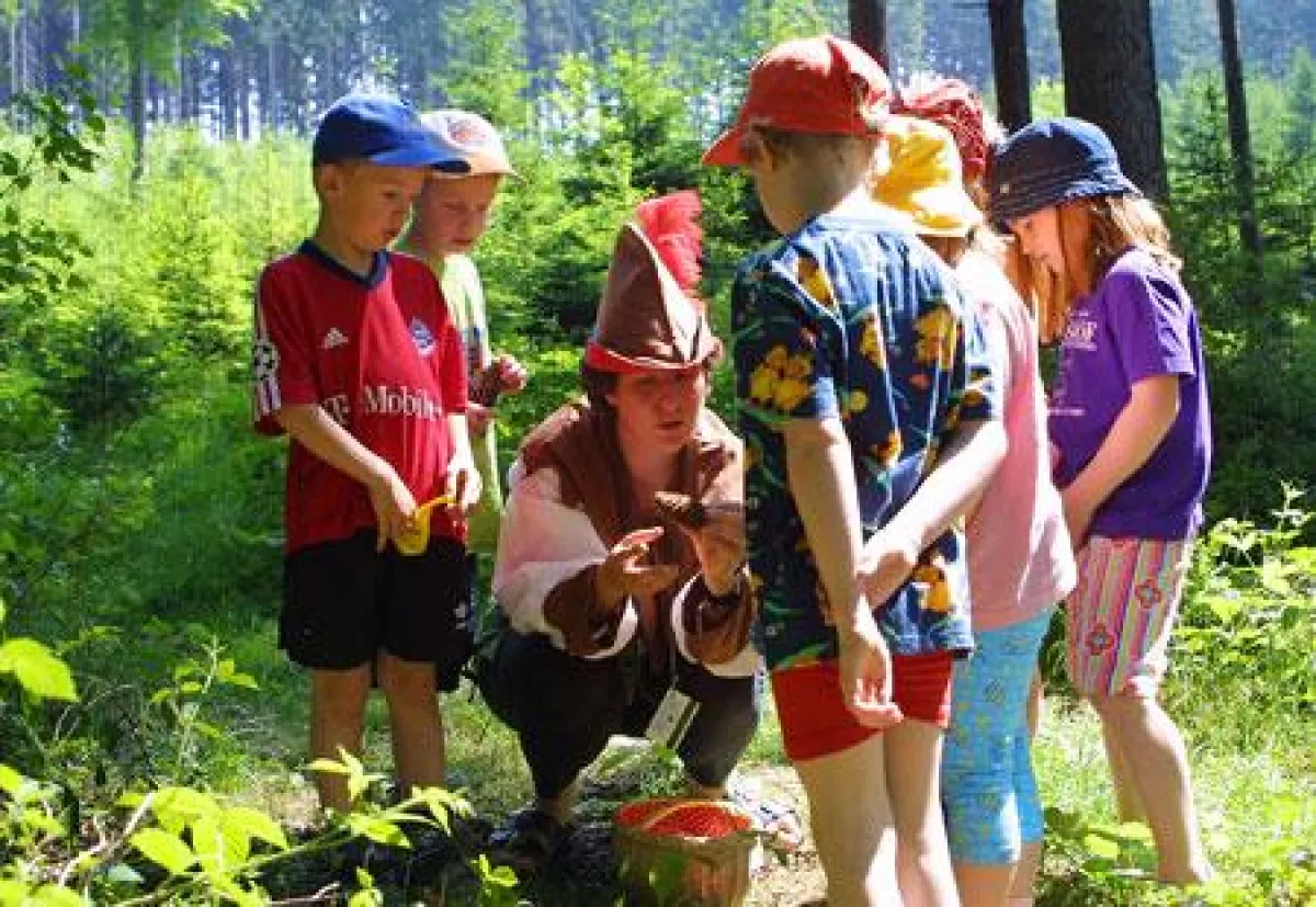 Die Hütte am Waldbach mit Wasserspielplatz, der Wald-Geschicklichkeits-Parcour, die Traumschaukel oder die Naturerkundungen mit geschulten Naturführern lassen Kinderherzen im ULRICHSHOF Baby & Kinder 