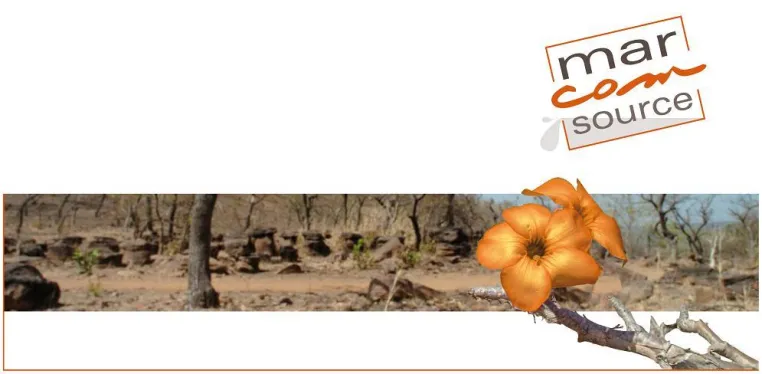 Bild: marcom source eröffnet neues Office in München