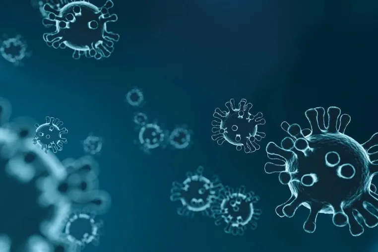Bild: VdeH warnt vor Auswirkungen durch Coronavirus Ausbruch