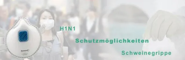 Bild: Unternehmen selbst für Schutz gegen Schweinegrippe verantwortlich
