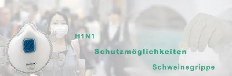 Bild: Unternehmen selbst für Schutz gegen Schweinegrippe verantwortlich