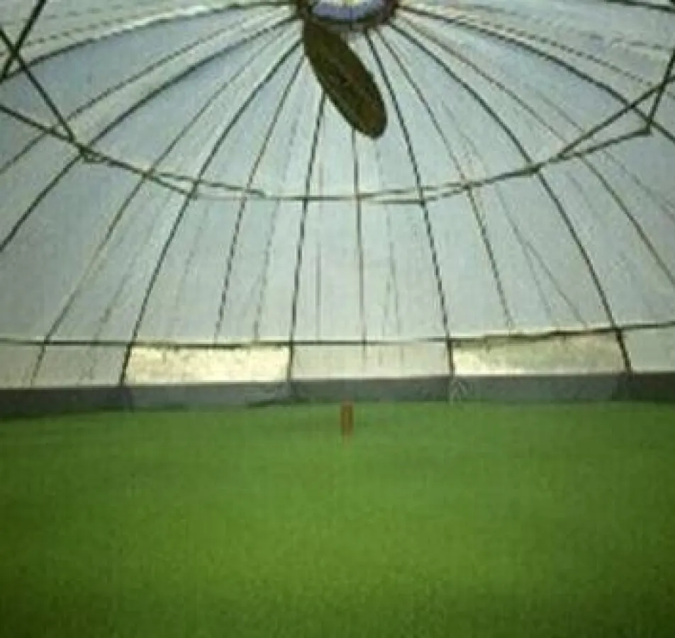 Der Wasserlinsen Reaktor