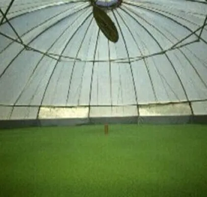 Bild: Wasserlinsen Reaktor für die Pool Zwischennutzung