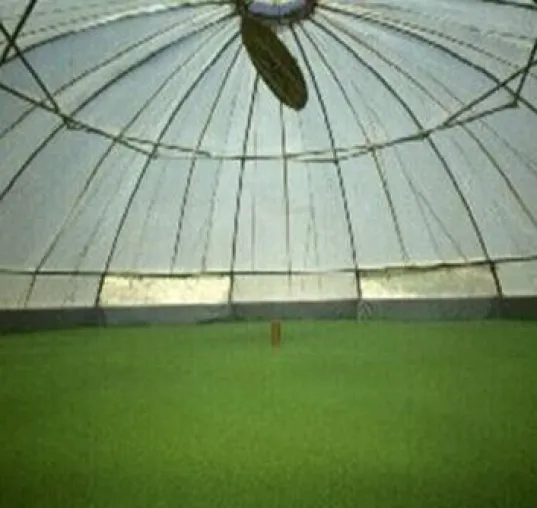 Wasserlinsen Reaktor für die Pool Zwischennutzung Bild: Wasserlinsen Reaktor für die Pool Zwischennutzung