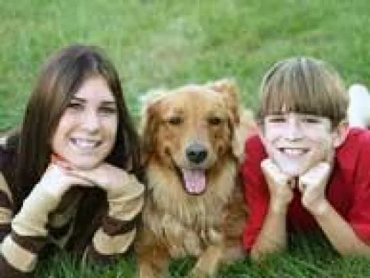 Bild: Wenn der Hundehalter nicht weiter wei?