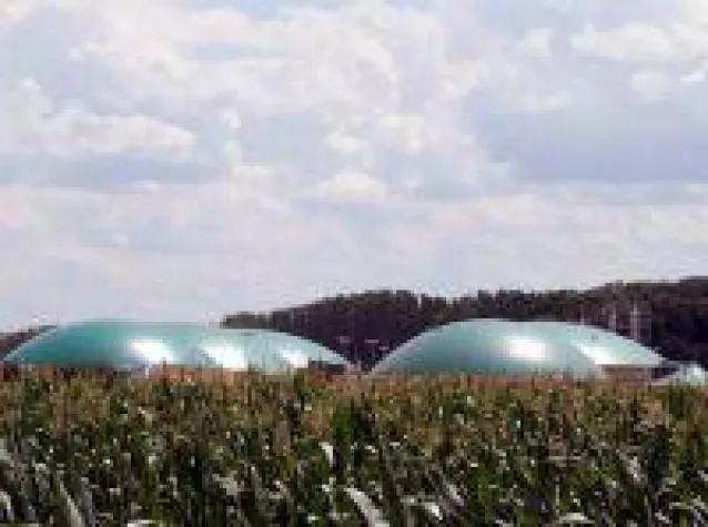 Bild: Mit Offenheit gegen Skepsis