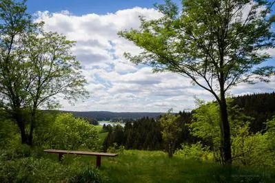 Bild: Auf den Harzer-Hexen-Stieg zum Wasserfall - eine Fotowanderung um die Talsperre Mandelholz im Harz