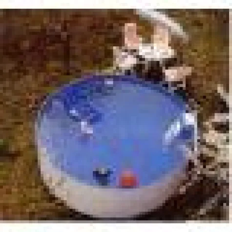 Sommerzeit ist Schwimmbadzeit Bild: Sommerzeit ist Schwimmbadzeit