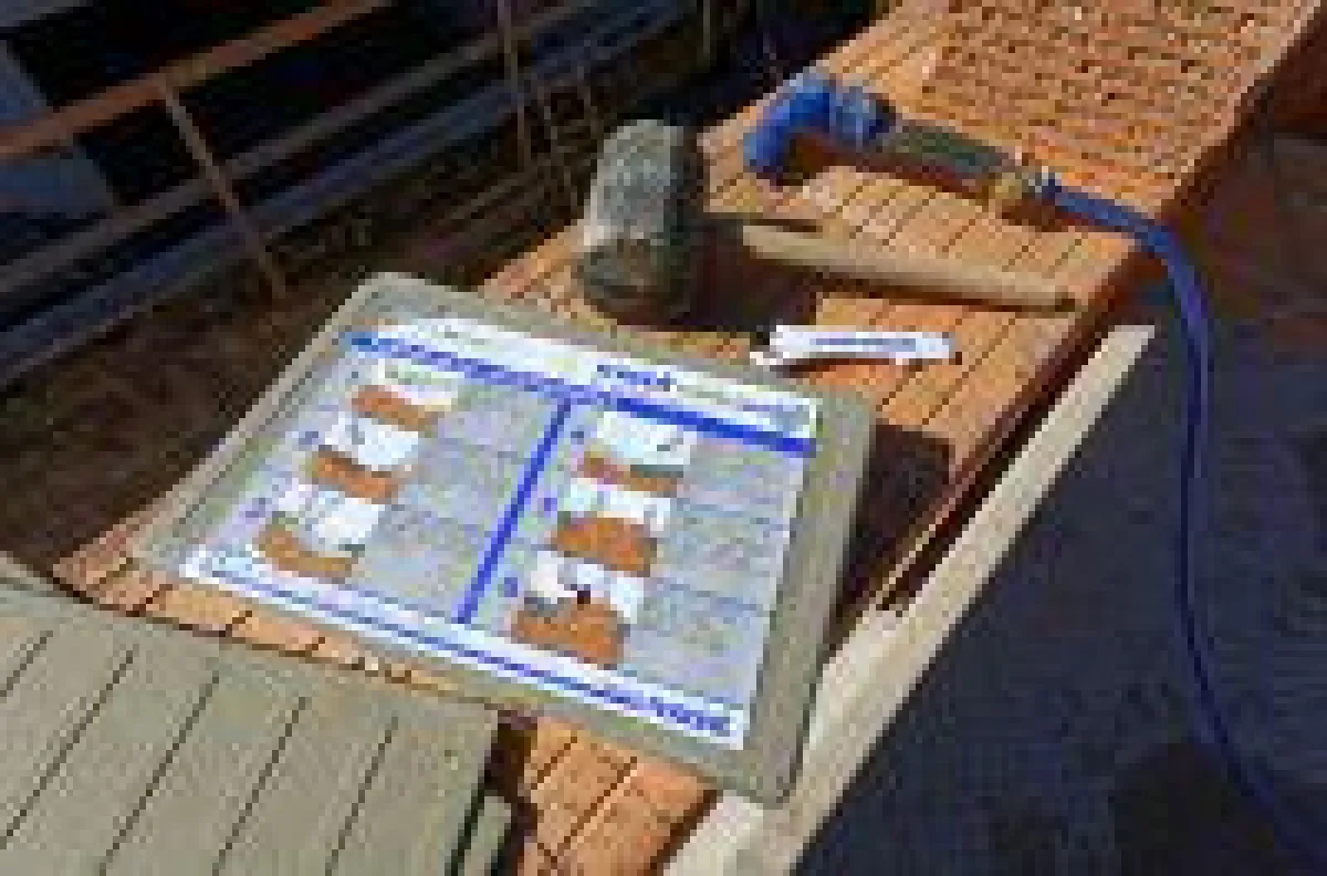 Mörtelpads von Maxit: Bestehende Formate für die Außenwand werden ab 2017 von zwei Innenwandformaten ergänzt.