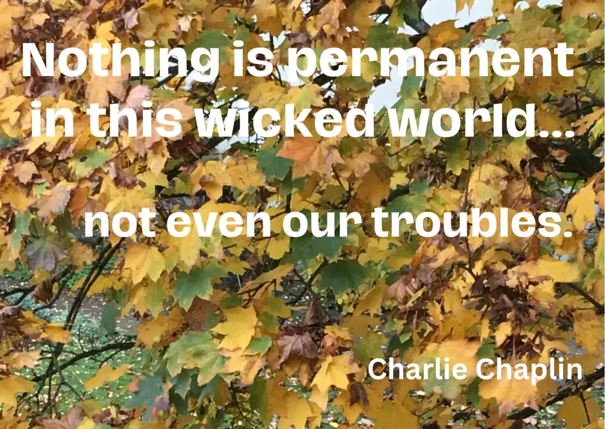 Zitat Charlie Chaplin (© Nicole Willnow)