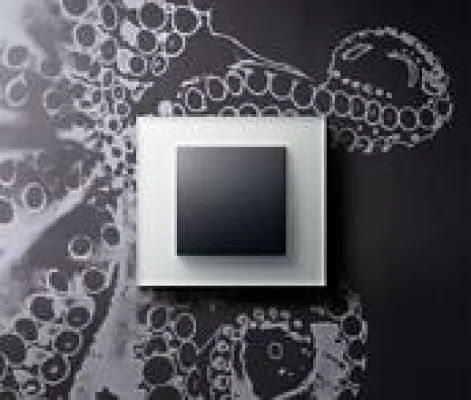 Schöner schalten - mit kallysto® von Hager Bild: Schöner schalten - mit kallysto® von Hager