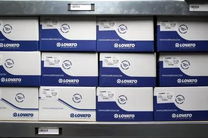 Bild: Lovato Smart: Neue Premium-Autogasanlage im Niedrigpreissegment