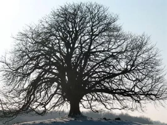 Es gibt ein Leben nach dem Streit - :Mediator online bietet Mediation als nachhaltige Lösung für Konflikte an Bild: Es gibt ein Leben nach dem Streit - :Mediator online bietet Mediation als nachhaltige Lösung für Konflikte an