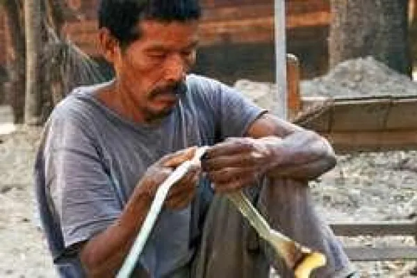 Brasilianische Viehzüchter planieren UNESCO Biosphärenreservat Bild: Brasilianische Viehzüchter planieren UNESCO Biosphärenreservat