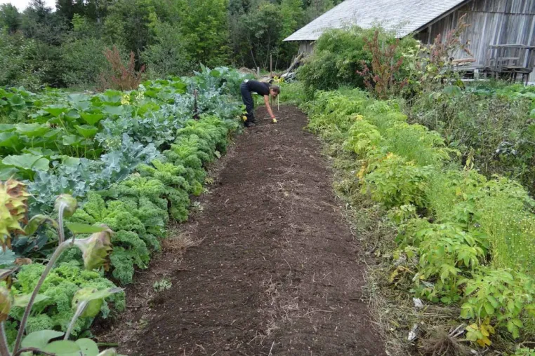 Bild: Selbstversorger im eigenen Garten haben Zukunft