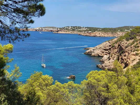 Bild: Burgdorf Immobilien bietet drei exklusive Investmentchancen auf Ibiza und Mallorca an