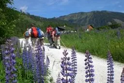 Bild: Früchtefasten und Wandern – ein besonders intensives Erlebnis