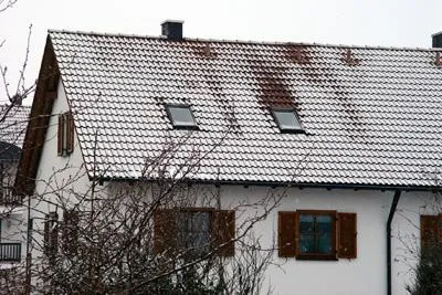 Bild: Besserer Wärmeschutz dank Naturdämmstoffen - Erst dämmen, dann sparen