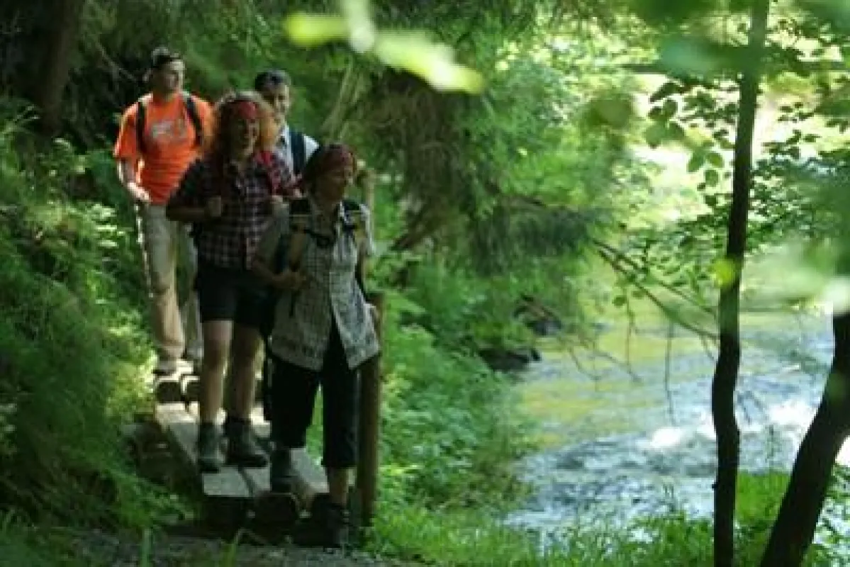 Naturpark Frankenwald: Ab jetzt noch bessere Orientierung auf allen Strecken und Wegen für Urlauber