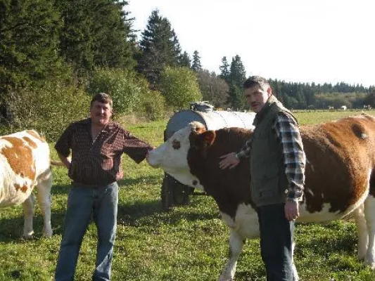 SPD-Landtagskandidat Manfred Görig - Auftakt zu Gesprächen mit der Vogelsberger Landwirtschaft Bild: SPD-Landtagskandidat Manfred Görig - Auftakt zu Gesprächen mit der Vogelsberger Landwirtschaft