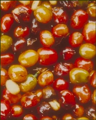 Auf die Inhaltsstoffe kommt es an: Verblüffende Studienergebnisse zeigen die gesundheitliche Relevanz von Kaffee Bild: Auf die Inhaltsstoffe kommt es an: Verblüffende Studienergebnisse zeigen die gesundheitliche Relevanz von Kaffee