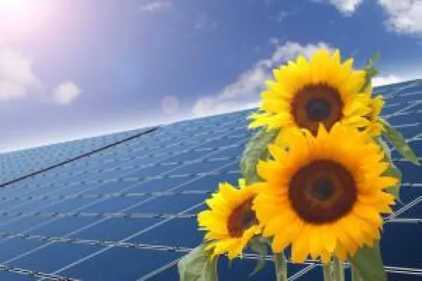 Bild: Was geschieht mit der Solarförderung 2012