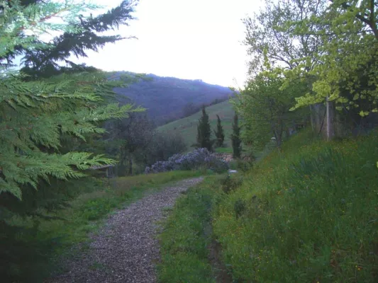 Nachhaltiger Tourismus in Umbrien, verträglich Reisen für Umweltbewusste, Urlaub in der Villa La Rogaia Bild: Nachhaltiger Tourismus in Umbrien, verträglich Reisen für Umweltbewusste, Urlaub in der Villa La Rogaia