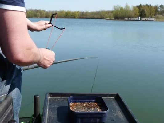 Nicht nur Angelsachen gibt es bei Angelsport - Merlin Bild: Nicht nur Angelsachen gibt es bei Angelsport - Merlin