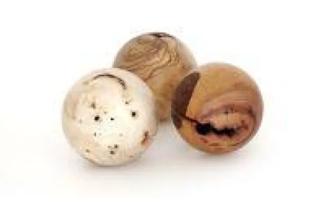 Einzigartiges Erlebnis für Körper und Seele: Echtholzkugeln als Oasen der Entspannung Bild: Einzigartiges Erlebnis für Körper und Seele: Echtholzkugeln als Oasen der Entspannung