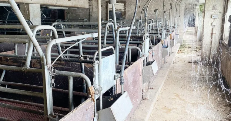 Seit 3 Jahren leer: Spinnweben im Schweinehochhaus - Deutsches Tierschutzbüro fordert Abriss Bild: Seit 3 Jahren leer: Spinnweben im Schweinehochhaus - Deutsches Tierschutzbüro fordert Abriss