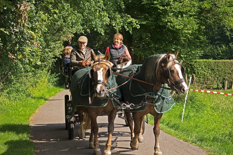 Bild: Fahrertreffen Dersau 2017