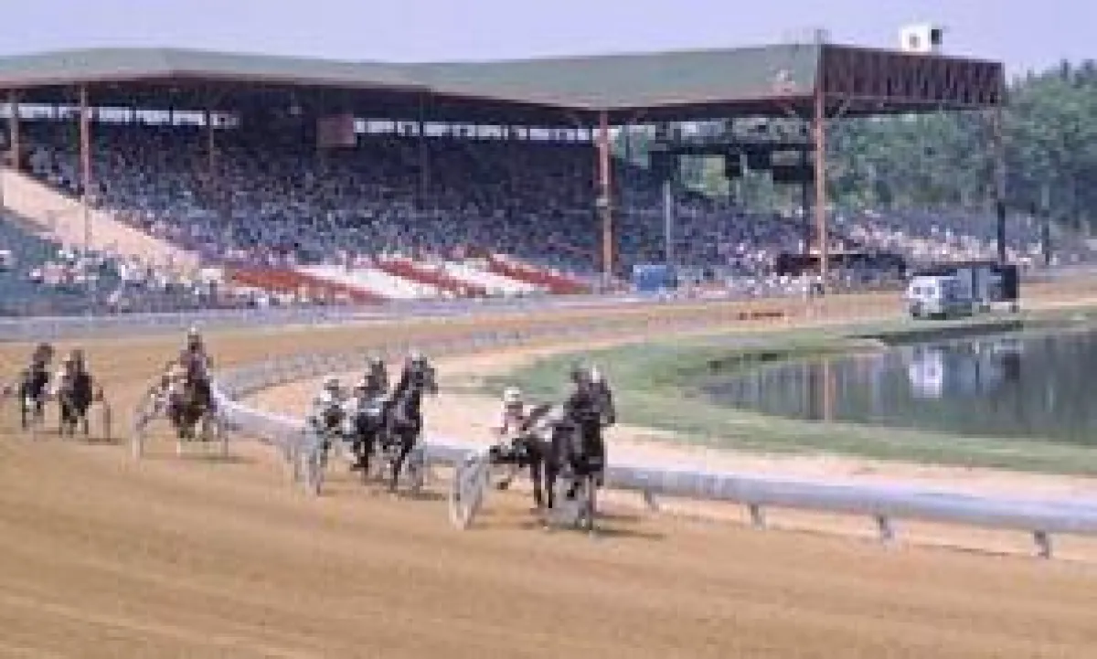 World Trotting Derby 2008 - Dewey gegen alle!