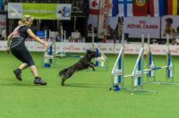 Spitzensport für Zwei- und Vierbeiner: Wildborn sponsert Agilitysportlerin Claudia Zenner Bild: Spitzensport für Zwei- und Vierbeiner: Wildborn sponsert Agilitysportlerin Claudia Zenner