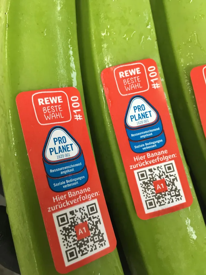 REWE ermöglicht bei den Bananen seiner Eigenmarken die Rückverfolgbarkeit bis zum Erzeugerbetrieb.