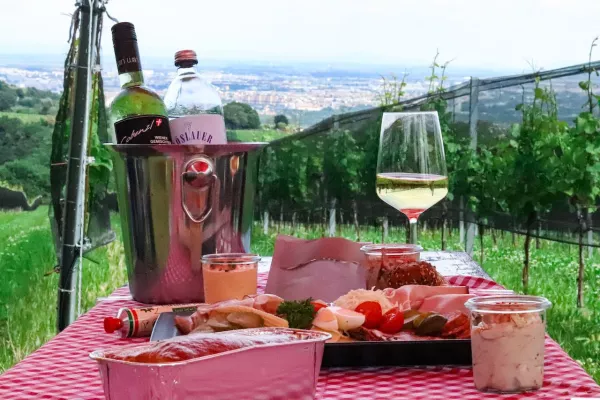 Bild: Picknick im Wiener Weinberg - Genuss am Cobenzl