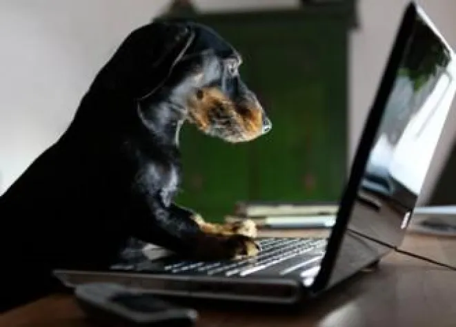 Bild: Ab sofort wieder Tierarzneimittel bei apo-rot per Post erhältlich