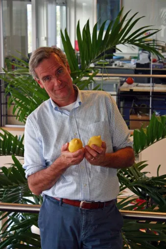 Bild: „Citrus Black Spot“-Krankheit: Bio-Bauern büßen für Importstoppdrohung der EU