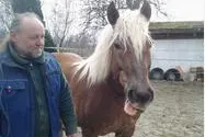 Bild: "Da brauchte es nicht viele Worte"-Roger Hunziker setzt auf Swiss Galoppers