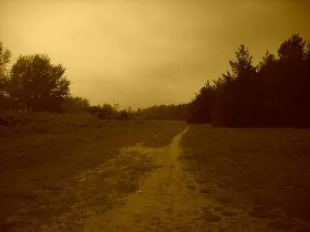 Bild: Photographie als Mittel der Selbstfindung - Bildband über die Insel Föhr