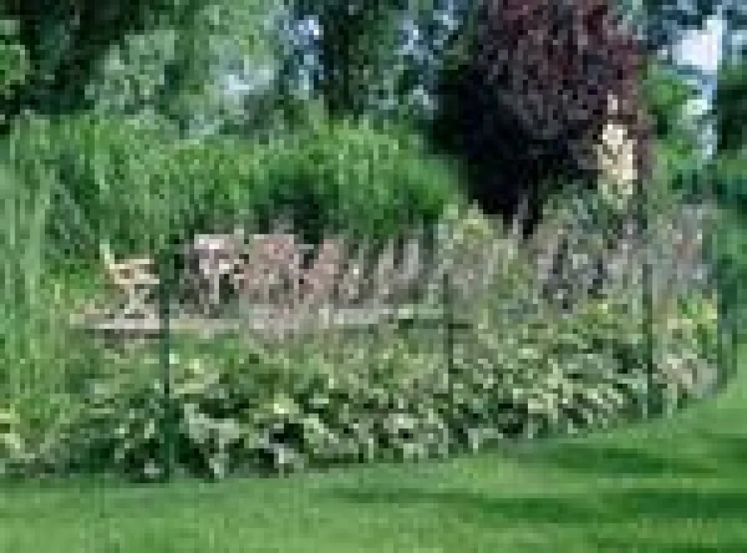 Sicherheitsmaßnahmen können Unfälle verhindern: Einzäunung des Gartenteichs mit dem Betafence-Modell Luxanet.