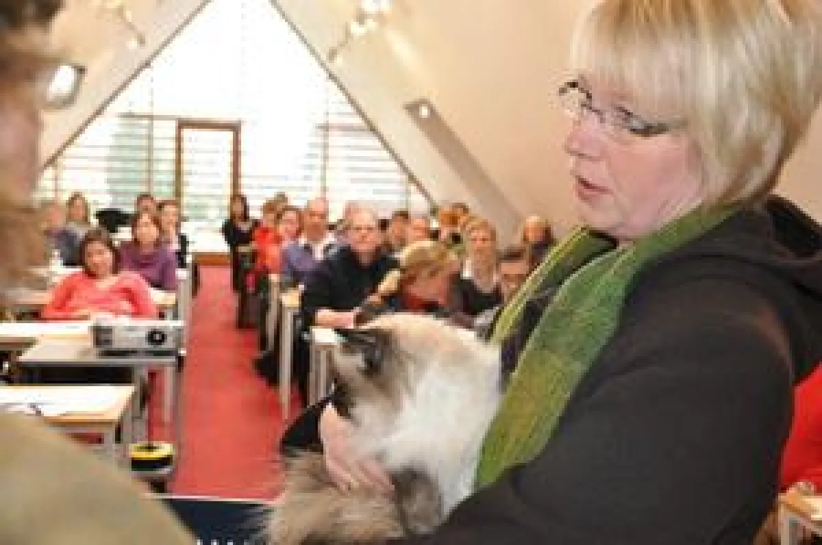 Ein Patient wird vorgestellt